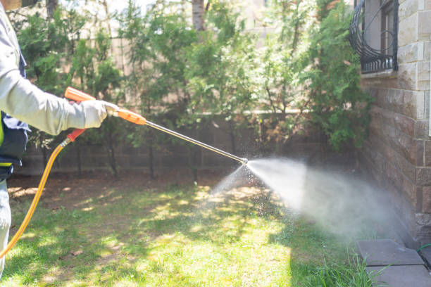Best Pest Control Near Me  in Carmi, IL