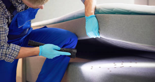 Best Cockroach Control Services  in Carmi, IL