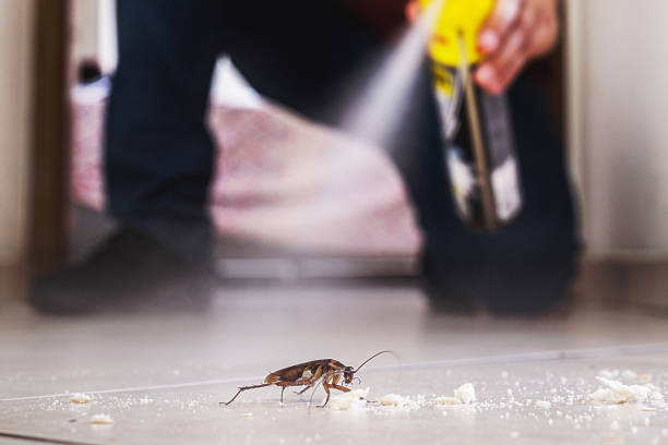 Best Flea Control Services  in Carmi, IL