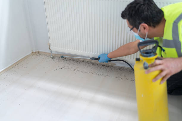 Trusted Carmi, IL Pest Control Experts