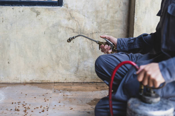 Best Ant Control Services  in Carmi, IL